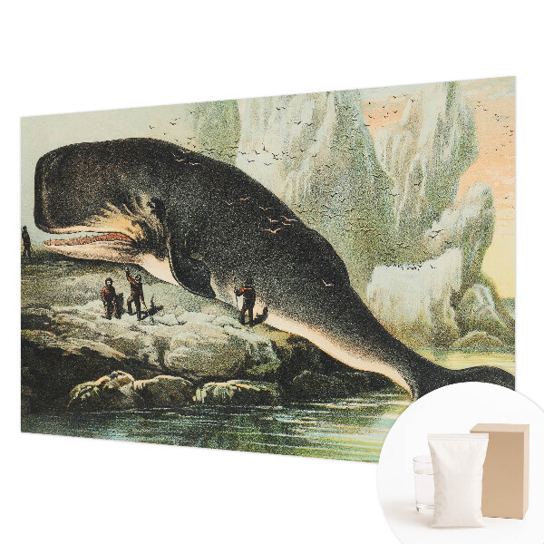 Flizelininis fototapetas Havgigantisme