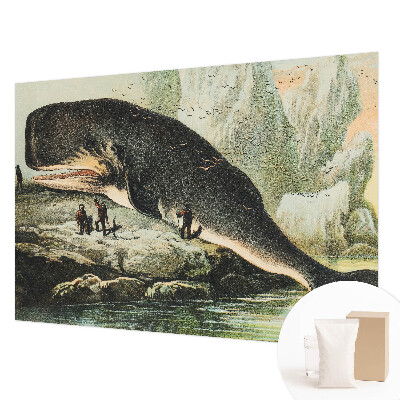 Flizelininis fototapetas Havgigantisme