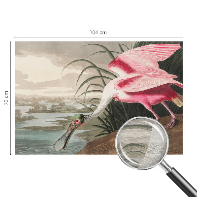 Fototapetas svetainei Egzotiškas fugl