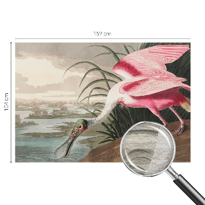 Fototapetas svetainei Egzotiškas fugl