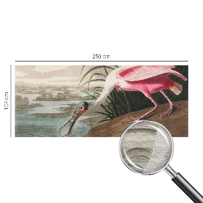 Fototapetas svetainei Egzotiškas fugl