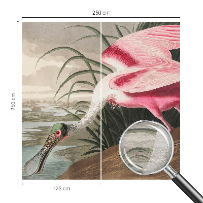 Fototapetas svetainei Egzotiškas fugl