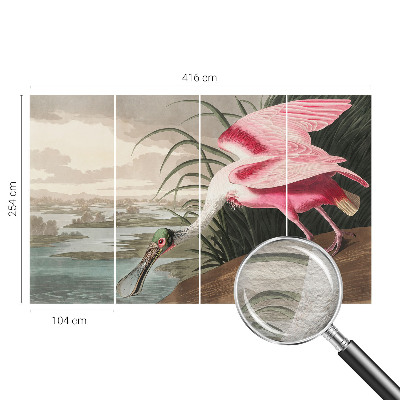 Fototapetas svetainei Egzotiškas fugl