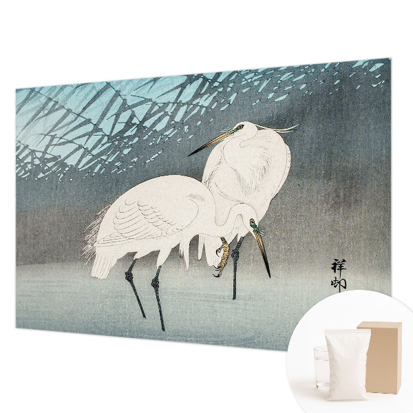 Aukštos kokybės fototapetas Sarte fugle