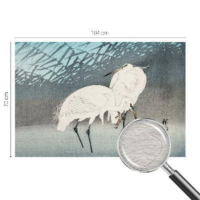 Aukštos kokybės fototapetas Sarte fugle