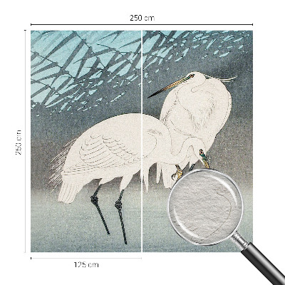 Aukštos kokybės fototapetas Sarte fugle