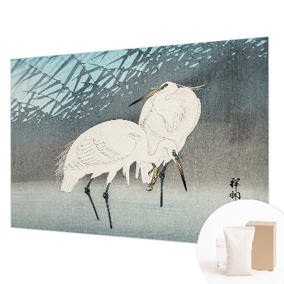 Aukštos kokybės fototapetas Sarte fugle