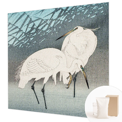 Aukštos kokybės fototapetas Sarte fugle