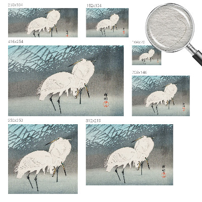 Aukštos kokybės fototapetas Sarte fugle