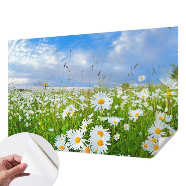3D fototapetas vasaros motyvu