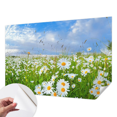 3D fototapetas vasaros motyvu