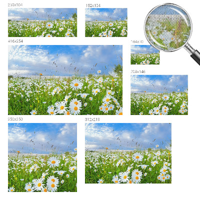 3D fototapetas vasaros motyvu