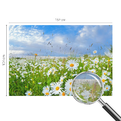 3D fototapetas vasaros motyvu