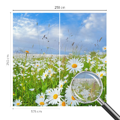3D fototapetas Vasara