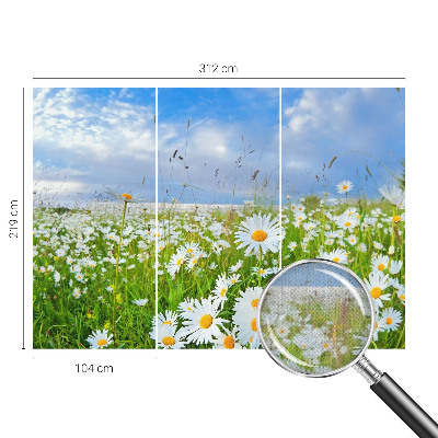 3D fototapetas vasaros motyvu
