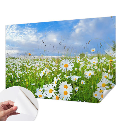 3D fototapetas vasaros motyvu