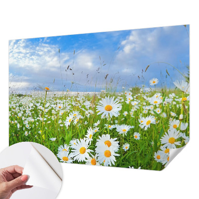 3D fototapetas vasaros motyvu