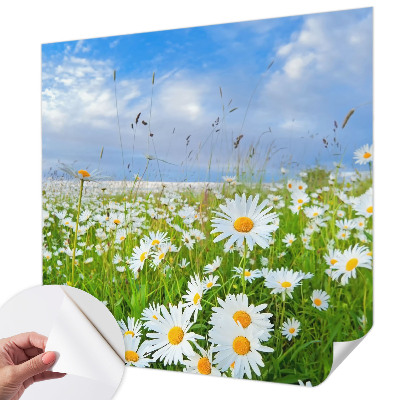 3D fototapetas vasaros motyvu