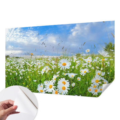 3D fototapetas vasaros motyvu