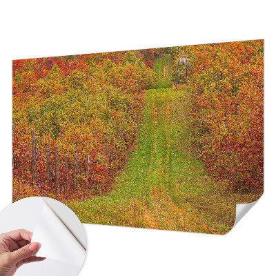 Fototapetai vakaro spalvų motyvas
