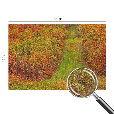 Fototapetai vakaro spalvų motyvas