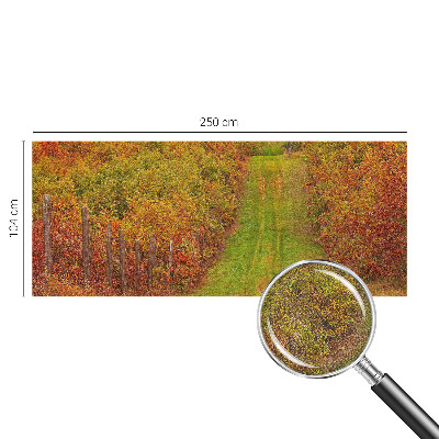 Fototapetai vakaro spalvų motyvas