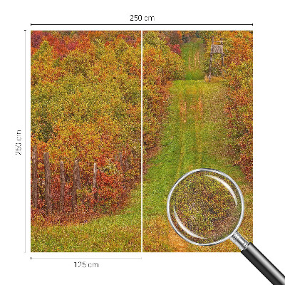 Fototapetai vakaro spalvų motyvas