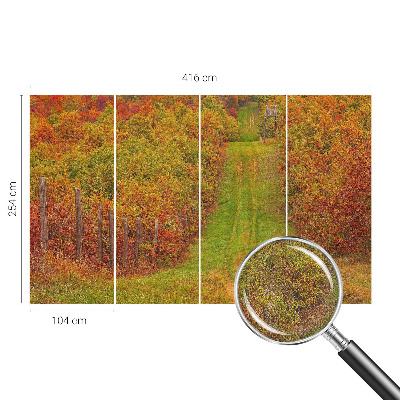 Fototapetai vakaro spalvų motyvas