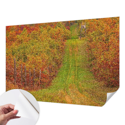 Fototapetai vakaro spalvų motyvas