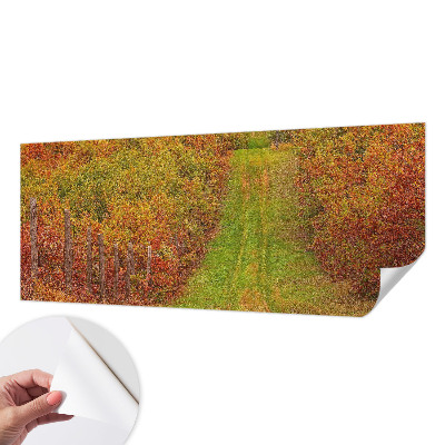 Fototapetai vakaro spalvų motyvas