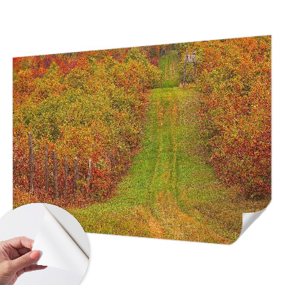 Fototapetai vakaro spalvų motyvas