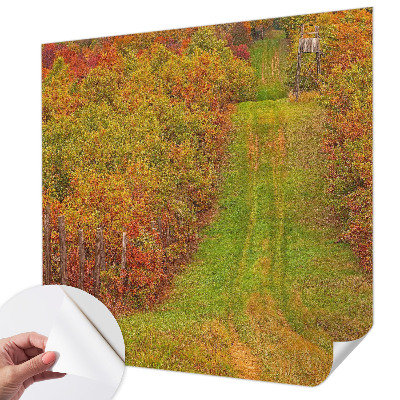 Fototapetai vakaro spalvų motyvas