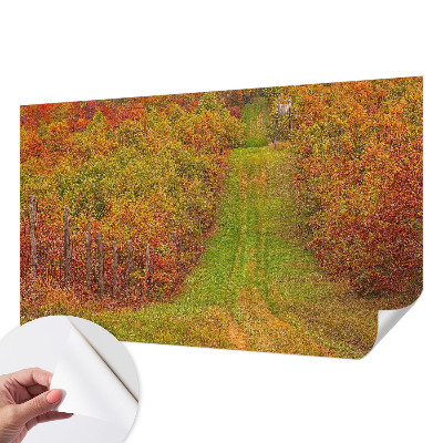 Fototapetai vakaro spalvų motyvas