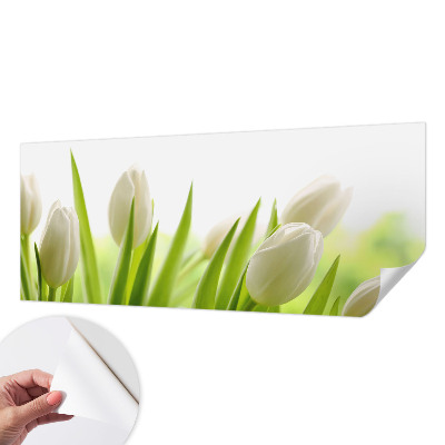Fototapetai su baltomis tulpėmis