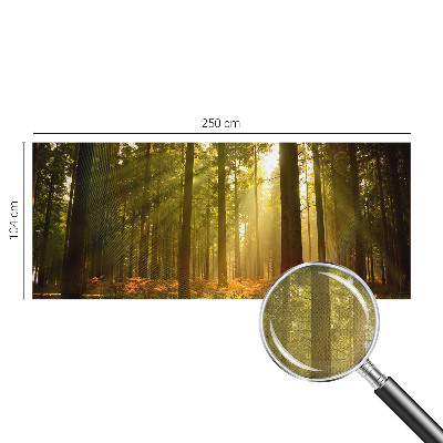 Tapetai Skovmorgenas