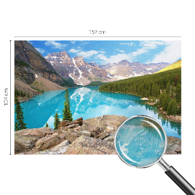 Savaime lipnus fototapetas Mėlynasis sojas