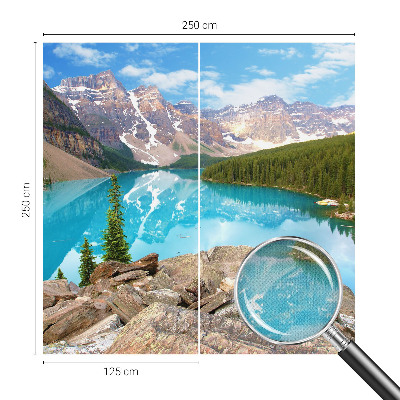 Savaime lipnus fototapetas Mėlynasis sojas