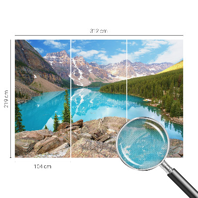 Savaime lipnus fototapetas Mėlynasis sojas