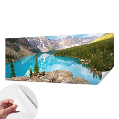 Savaime lipnus fototapetas Mėlynasis sojas