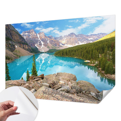 Savaime lipnus fototapetas Mėlynasis sojas