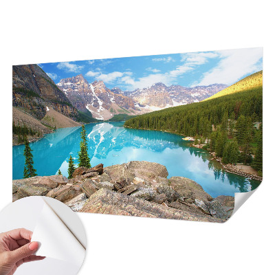 Savaime lipnus fototapetas Mėlynasis sojas