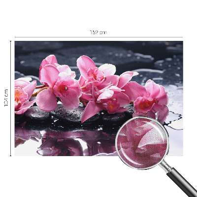 3D fototapetas su gėlių motyvu „Blomsteragtig Elegancija“