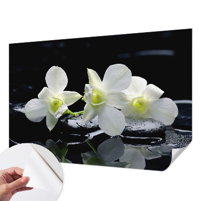 3D fototapetas sienoms su „Bloomster“ ir akmens raštu