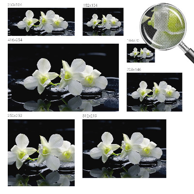3D fototapetas sienoms su „Bloomster“ ir akmens raštu
