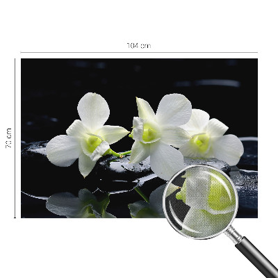 3D fototapetas sienoms su „Bloomster“ ir akmens raštu