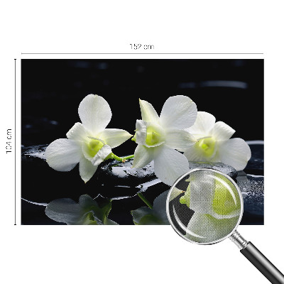 3D fototapetas sienoms Bloomster og sten