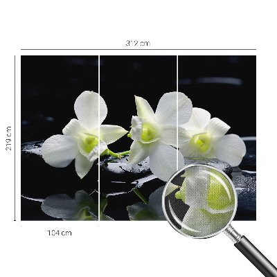 3D fototapetas sienoms Bloomster og sten