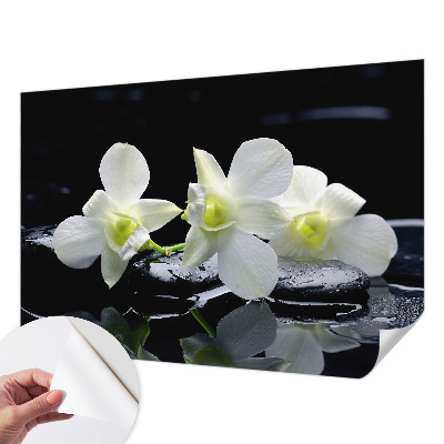3D fototapetas sienoms su „Bloomster“ ir akmens raštu
