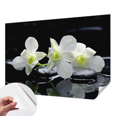 3D fototapetas sienoms su „Bloomster“ ir akmens raštu