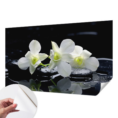 3D fototapetas sienoms su „Bloomster“ ir akmens raštu